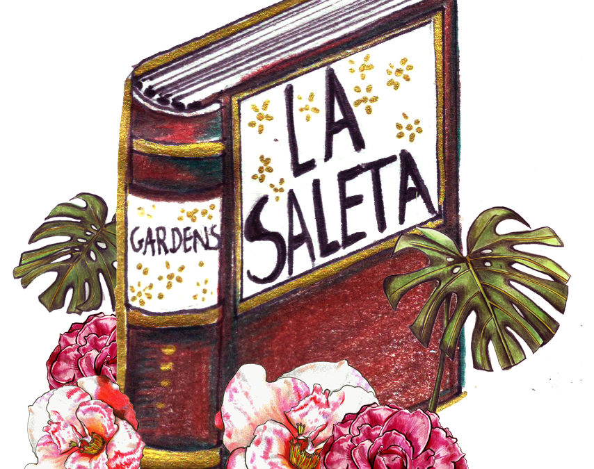 ¡Comienza la temporada de camelias! The camellia season begins!